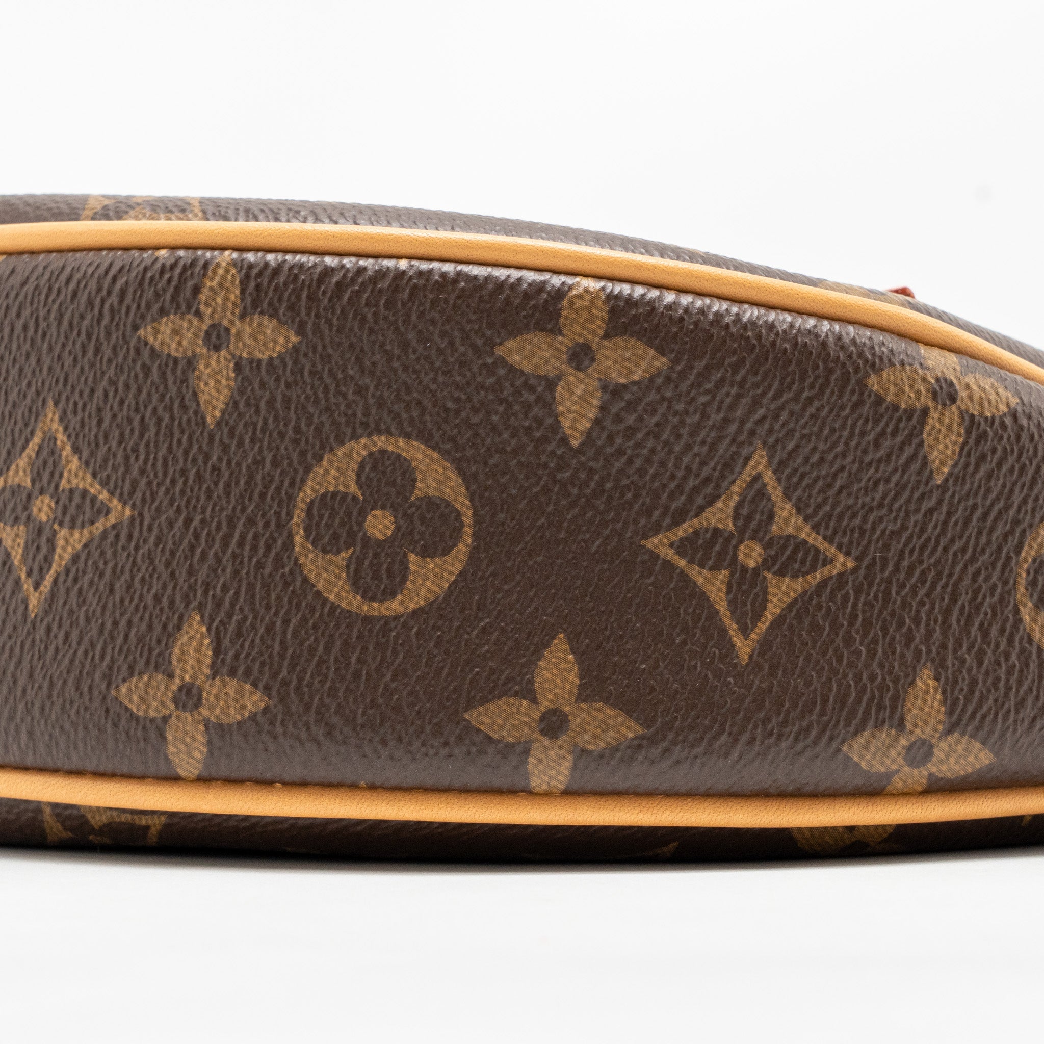 LOUIS VUITTON LOOP BAG MONOGRAM CANVAS GHW
