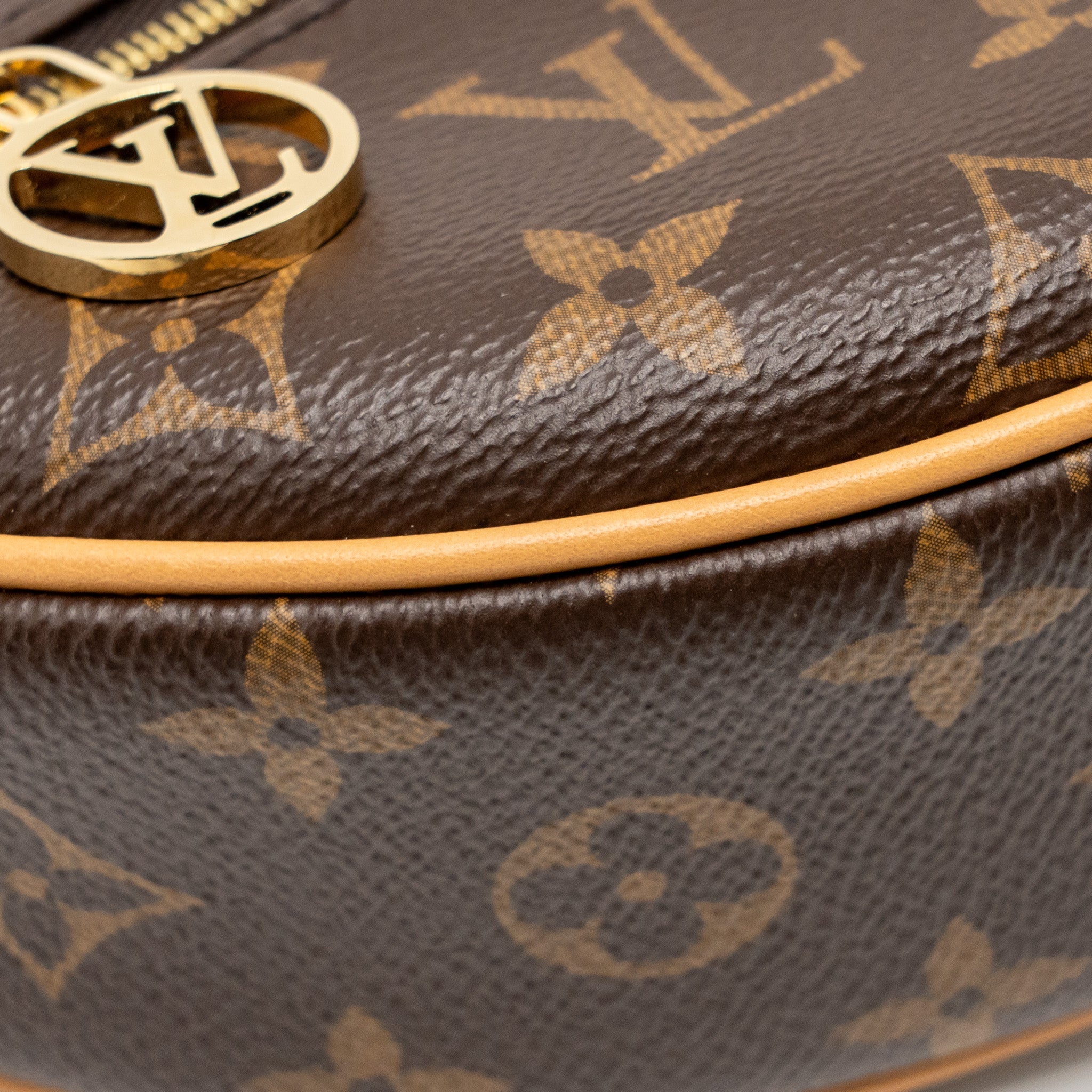 LOUIS VUITTON LOOP BAG MONOGRAM CANVAS GHW