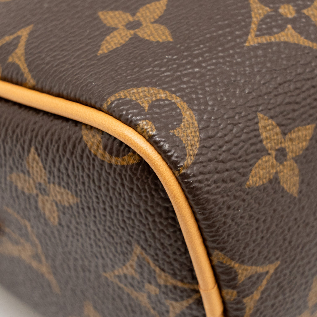 LOUIS VUITTON NANO SPEEDY MONOGRAM CANVAS GHW