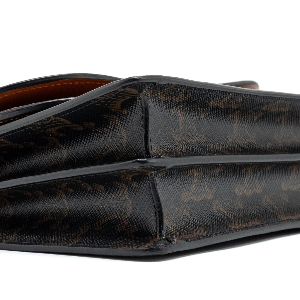 CELINE WALLET ON STRAP TRIOMPHE CANVAS/SMOOTH LAMBSKIN TAN GHW
