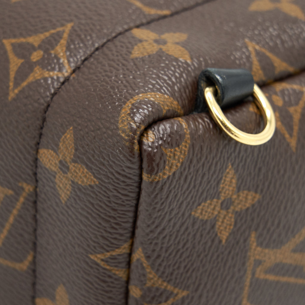 LOUIS VUITTON PALM SPRINGS MINI BACKPACK MONOGAM CANVAS