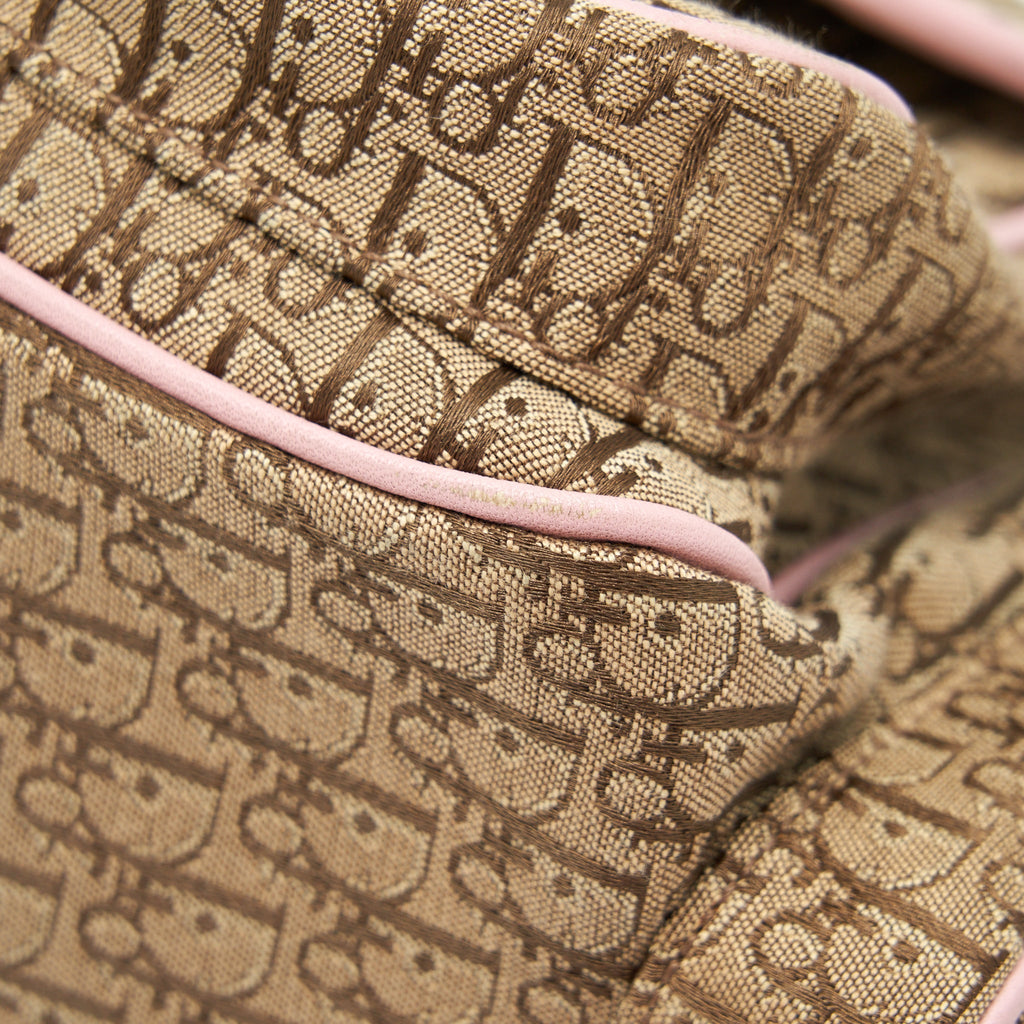 DIOR TROTTER STREET CHIC POCKET DIORISSIMO HOBO BAG CANVAS SHW