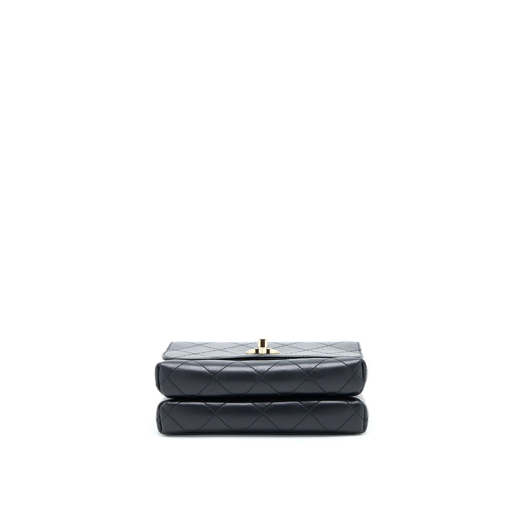 CHANEL SEASONAL TOP HANDLE FLAP BAG CALFSKIN BLACK GHW