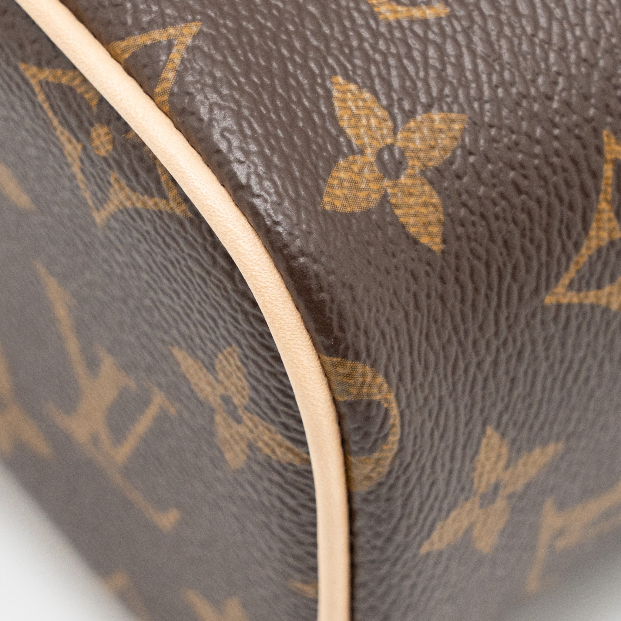 LOUIS VUITTON NICE NANO MONOGRAM CANVAS GHW