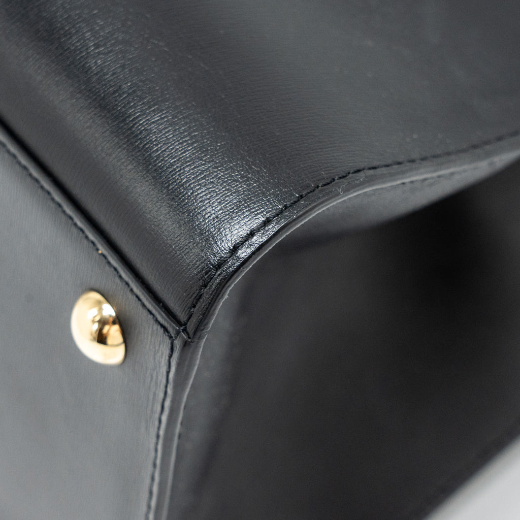 DELVAUX BRILLIANT MM CALFSKIN BLACK GHW