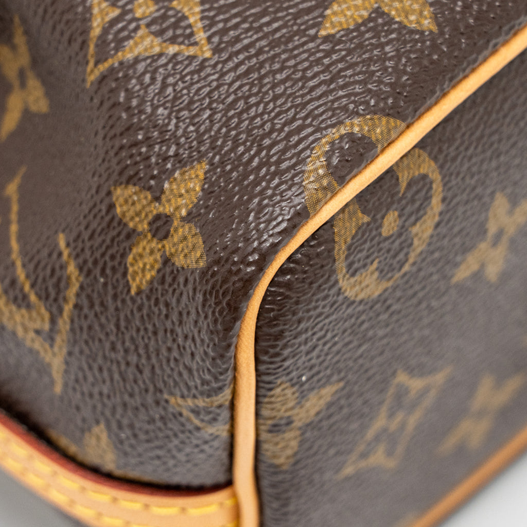 LOUIS VUITTON NANO NOE MONOGRAM CANVAS GHW