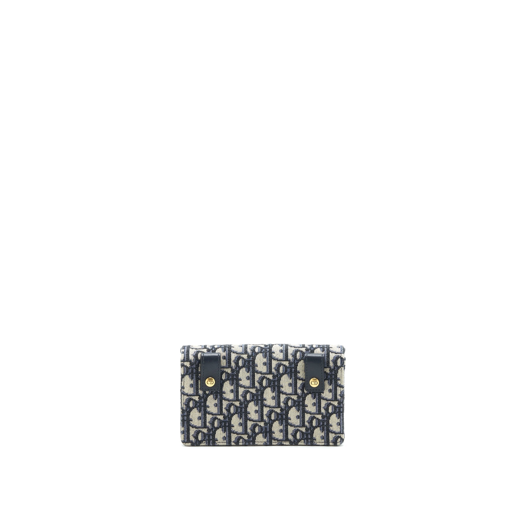 DIOR SADDLE BELT POUCH OBLIQUE