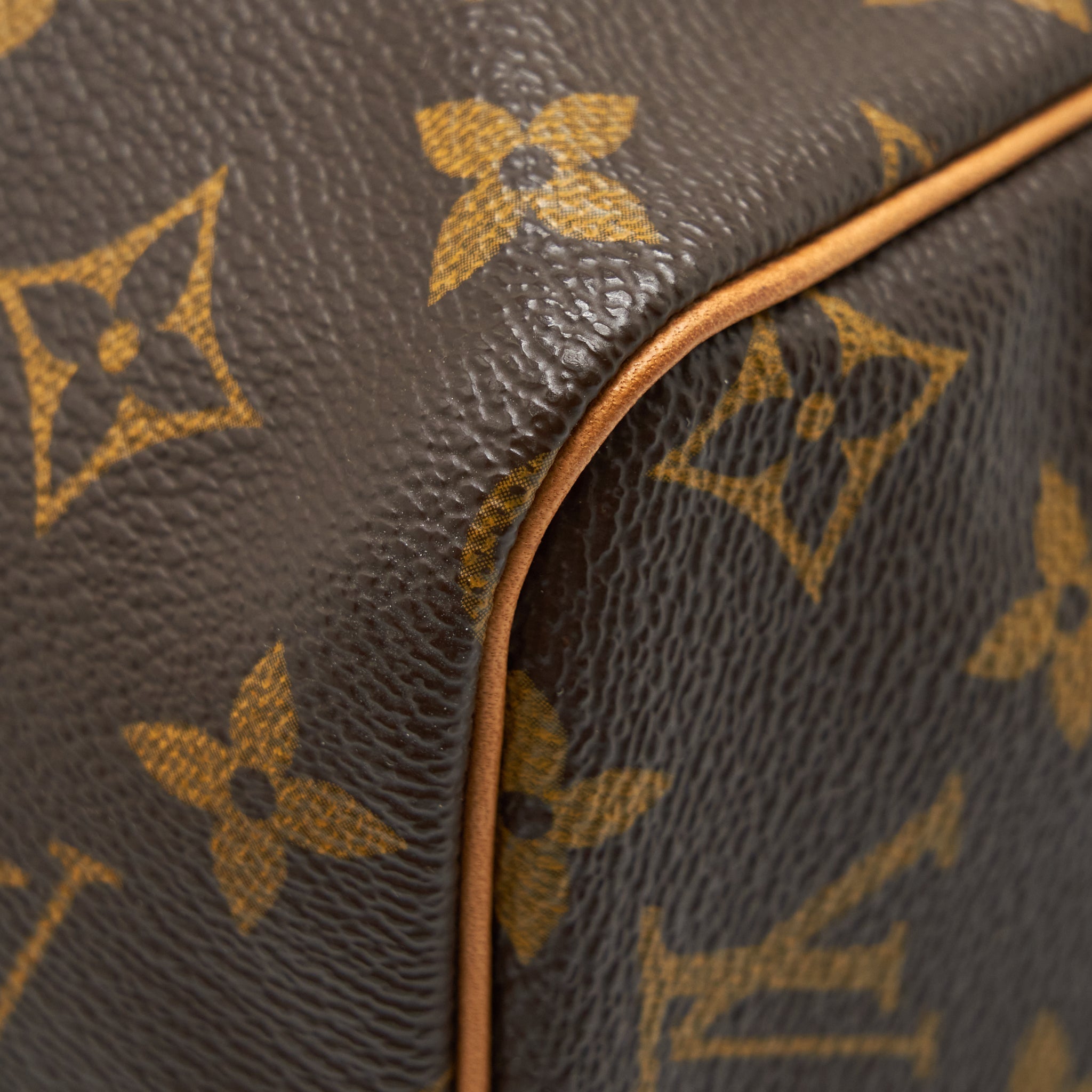 LOUIS VUITTON SPEEDY 30 MONOGRAM CANVAS GHW