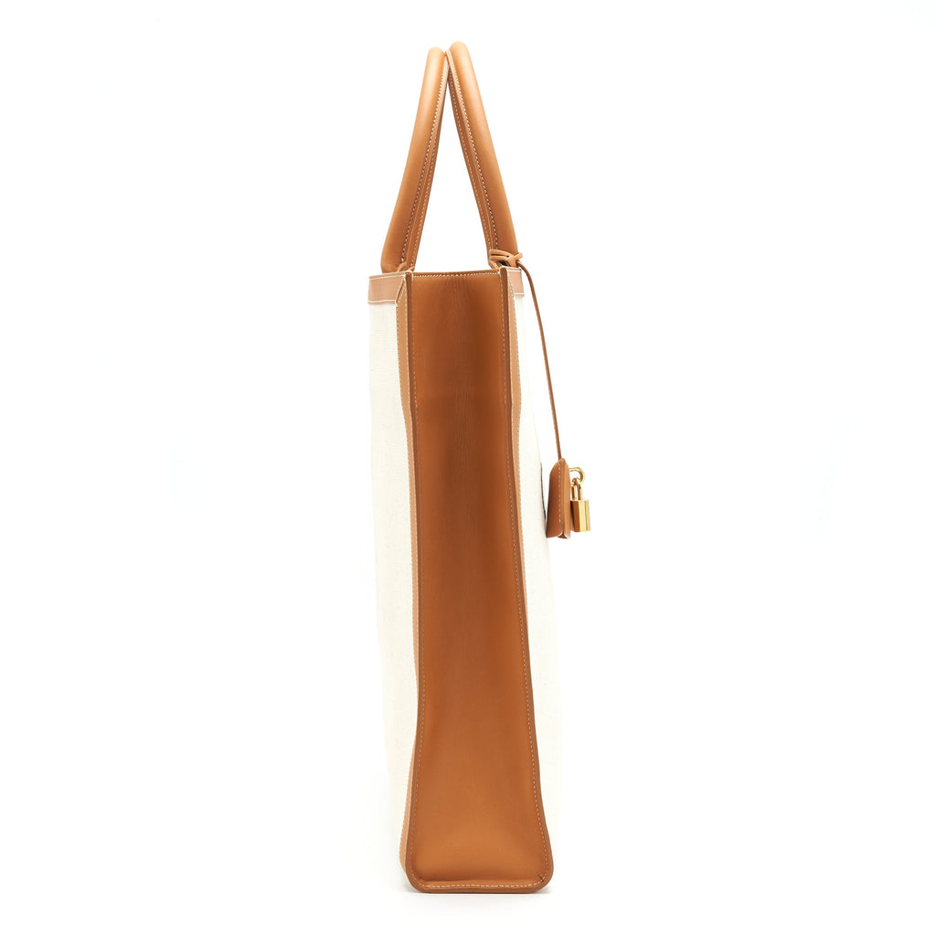 CELINE SMALL VERTICAL CABAS CANVAS WITH CELINE PRINT AND CALFSKIN