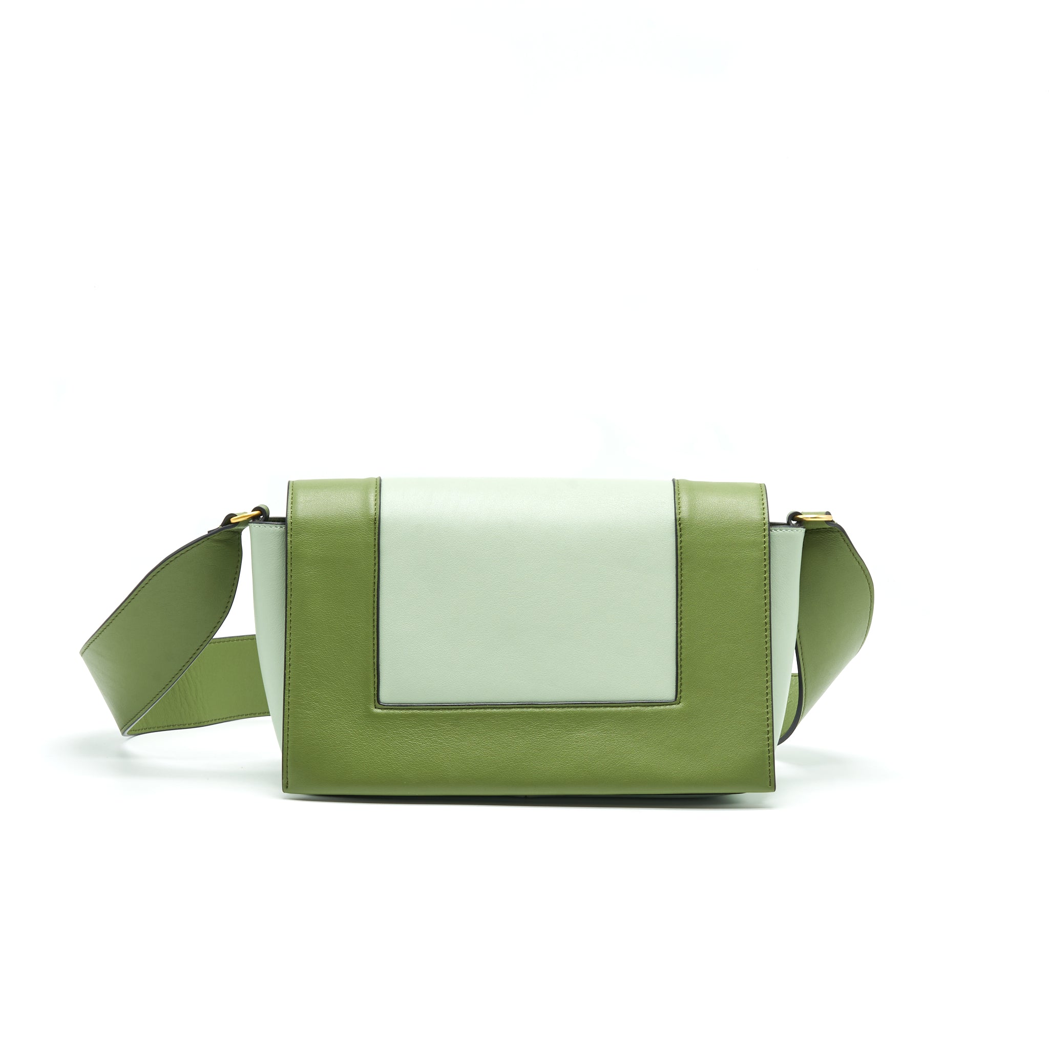 CELINE FRAME BAG SHOULDER BAG GREEN