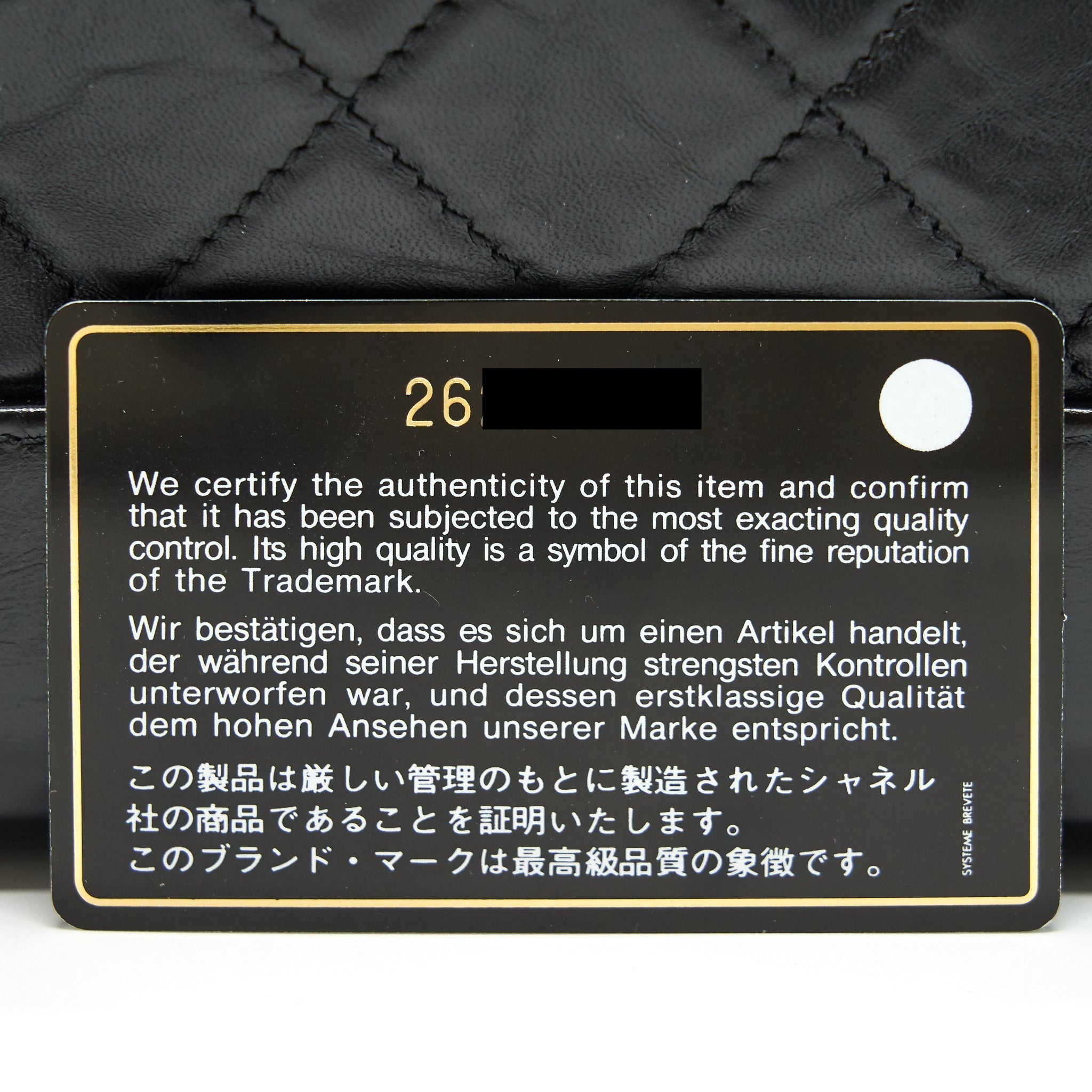 CHANEL SMALL GABRIELLE HOBO BAG BLACK