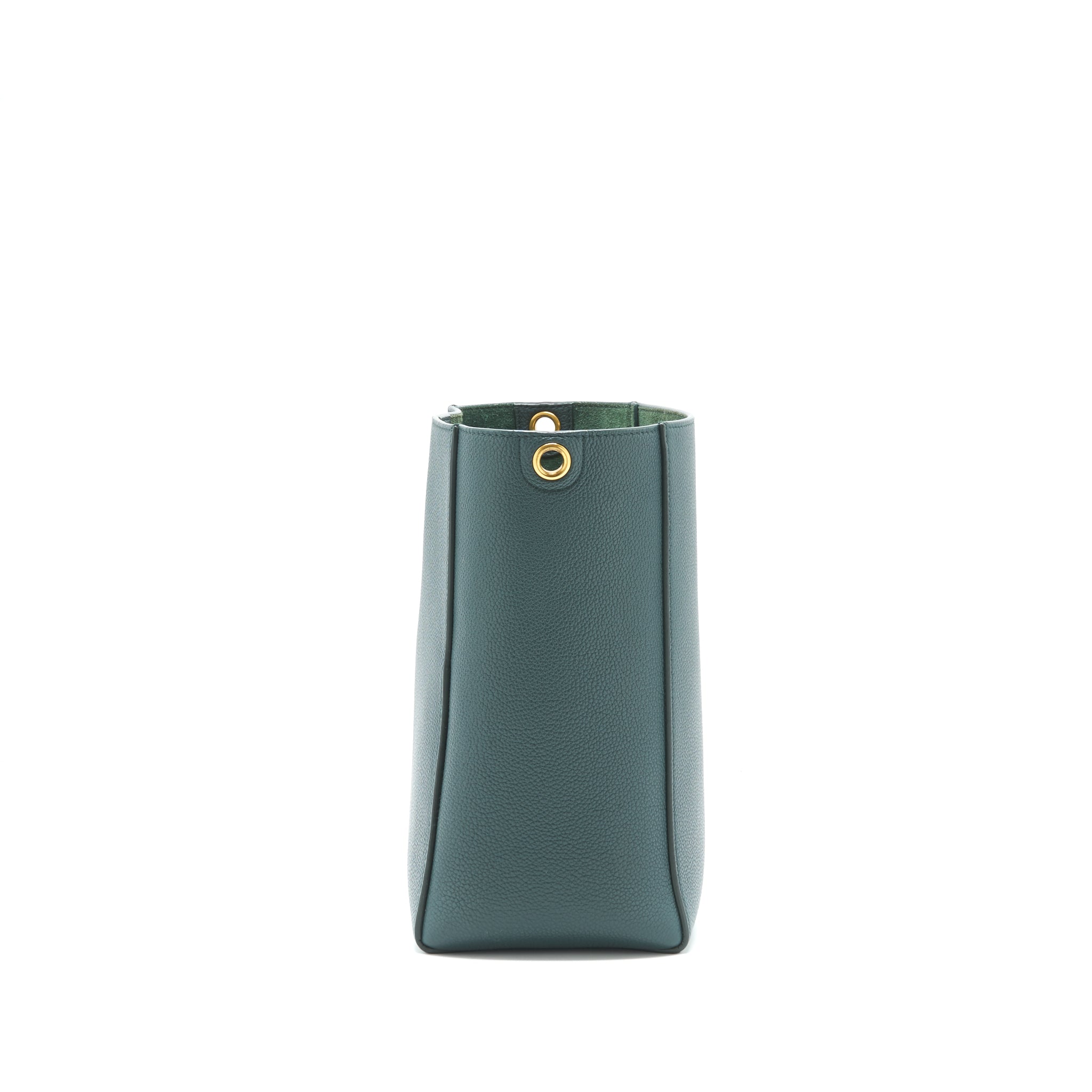 CELINE SMALL SANGLE BUCKET BAG AMAZON GHW