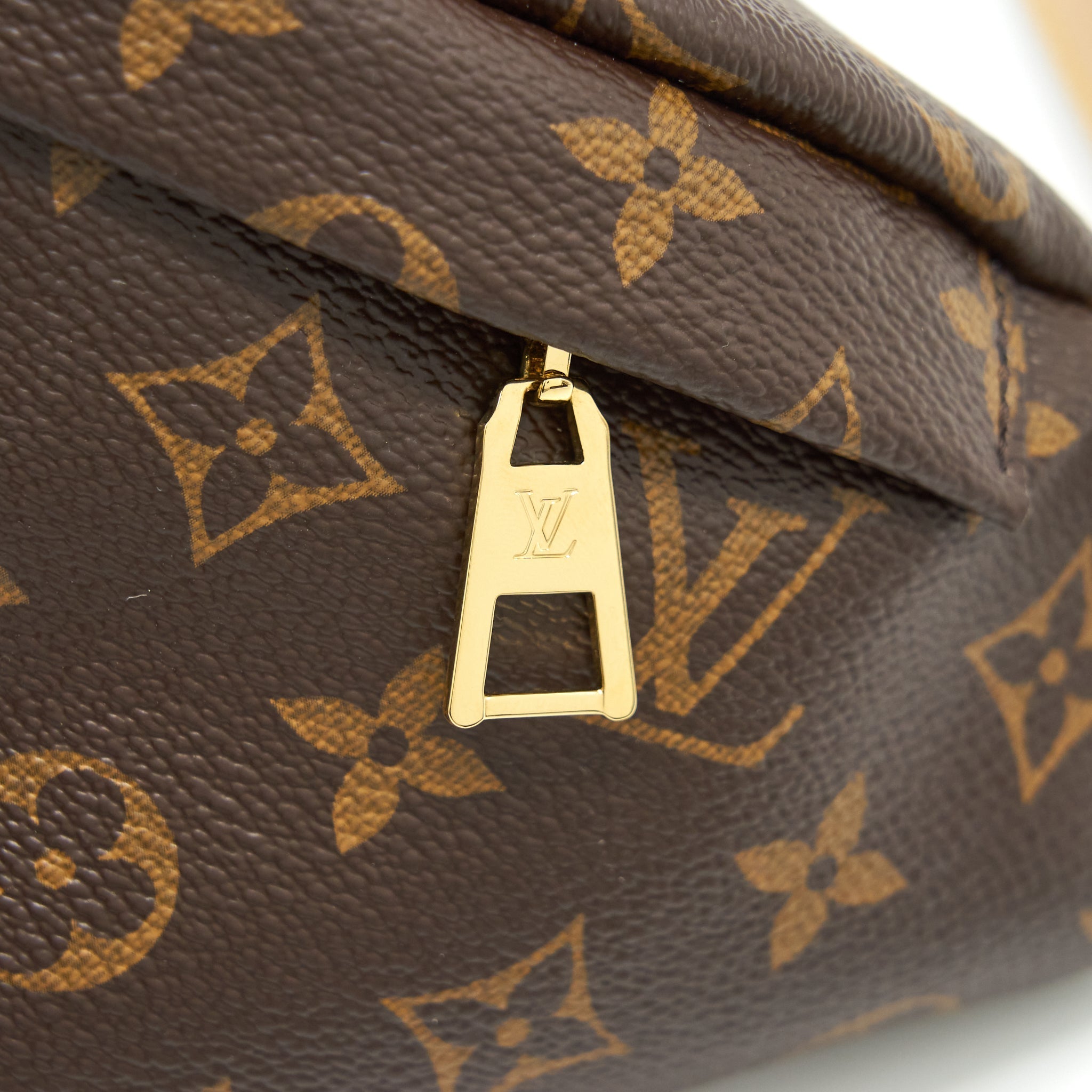LOUIS VUITTON BUM BAG MONOGRAM CANVAS GHW