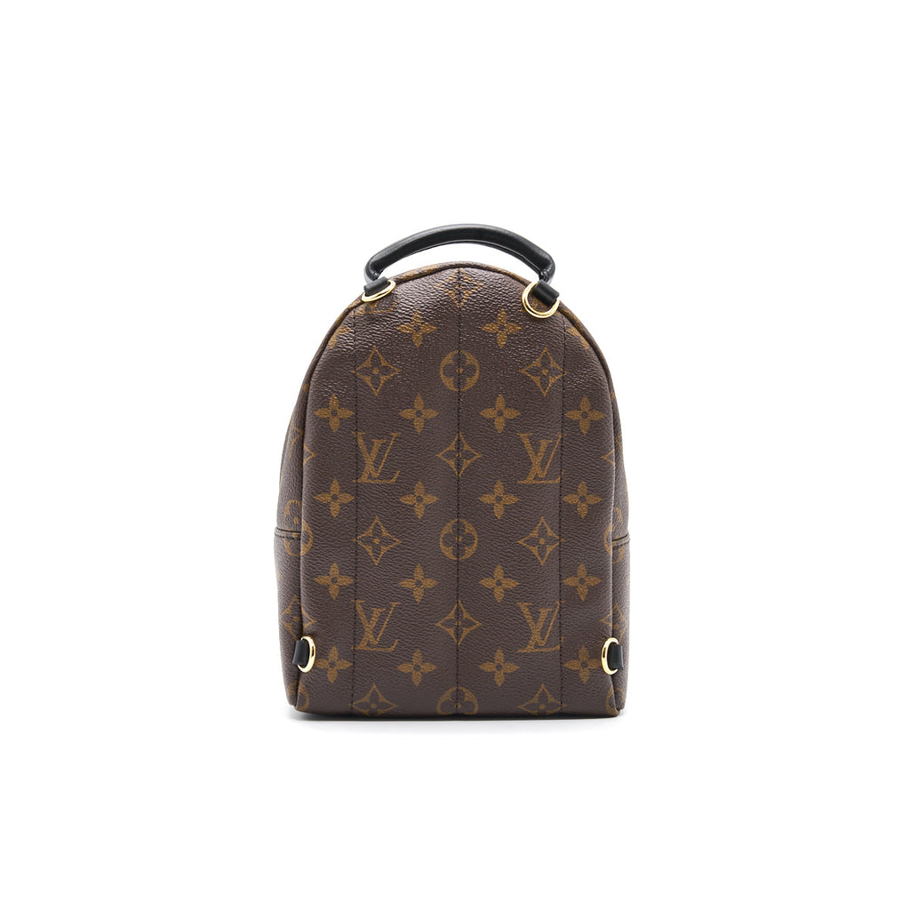 LOUIS VUITTON PALM SPRINGS MINI