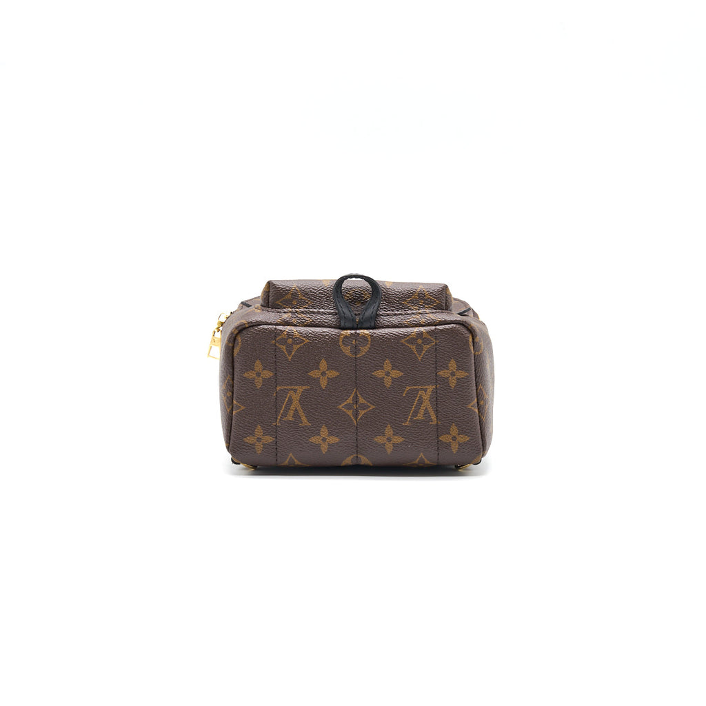 LOUIS VUITTON PALM SPRINGS MINI