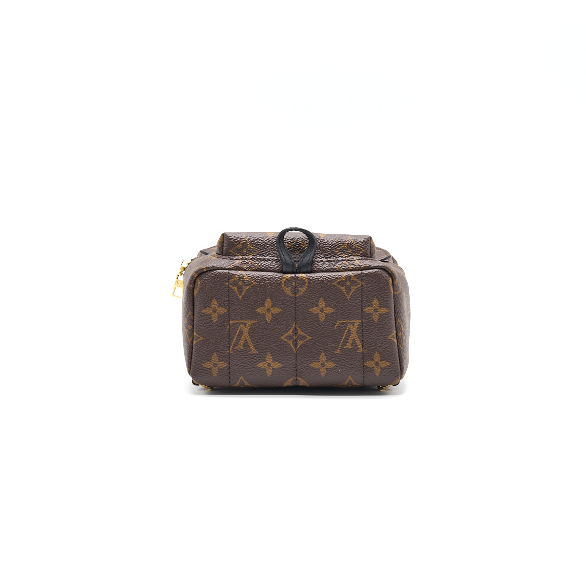 LOUIS VUITTON PALM SPRINGS MINI