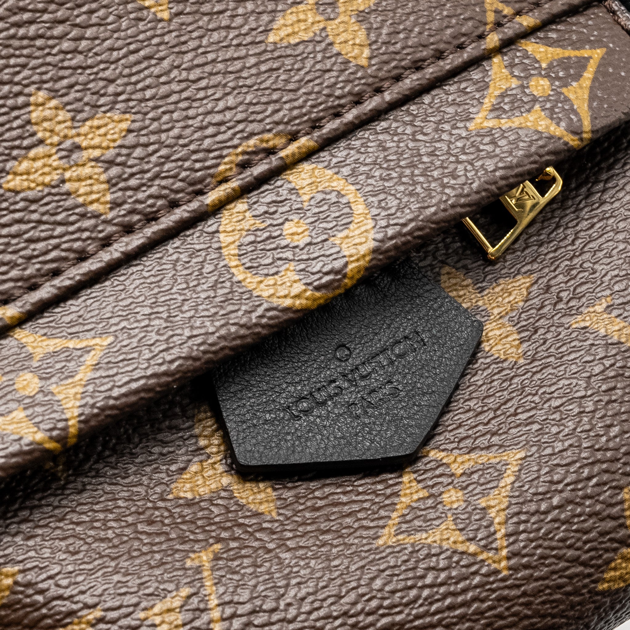 LOUIS VUITTON MINI PALM SPRING BACKPACK MONOGRAM CANVAS GHW