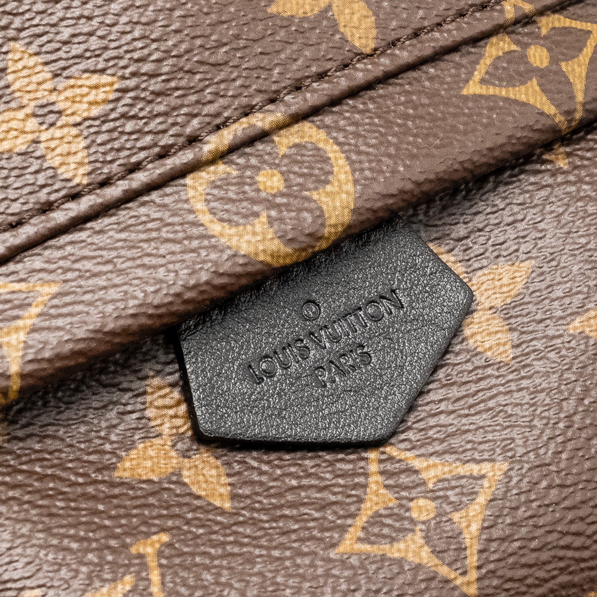 LOUIS VUITTON MINI PALM SPRING BACKPACK MONOGRAM CANVAS GHW