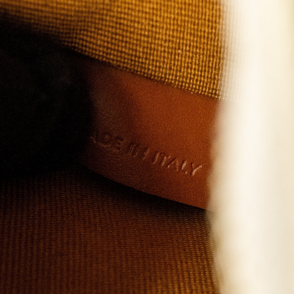 CELINE AVA BAG TRIOMPHE CANVAS/ CALFSKIN WHITE / BROWN GHW