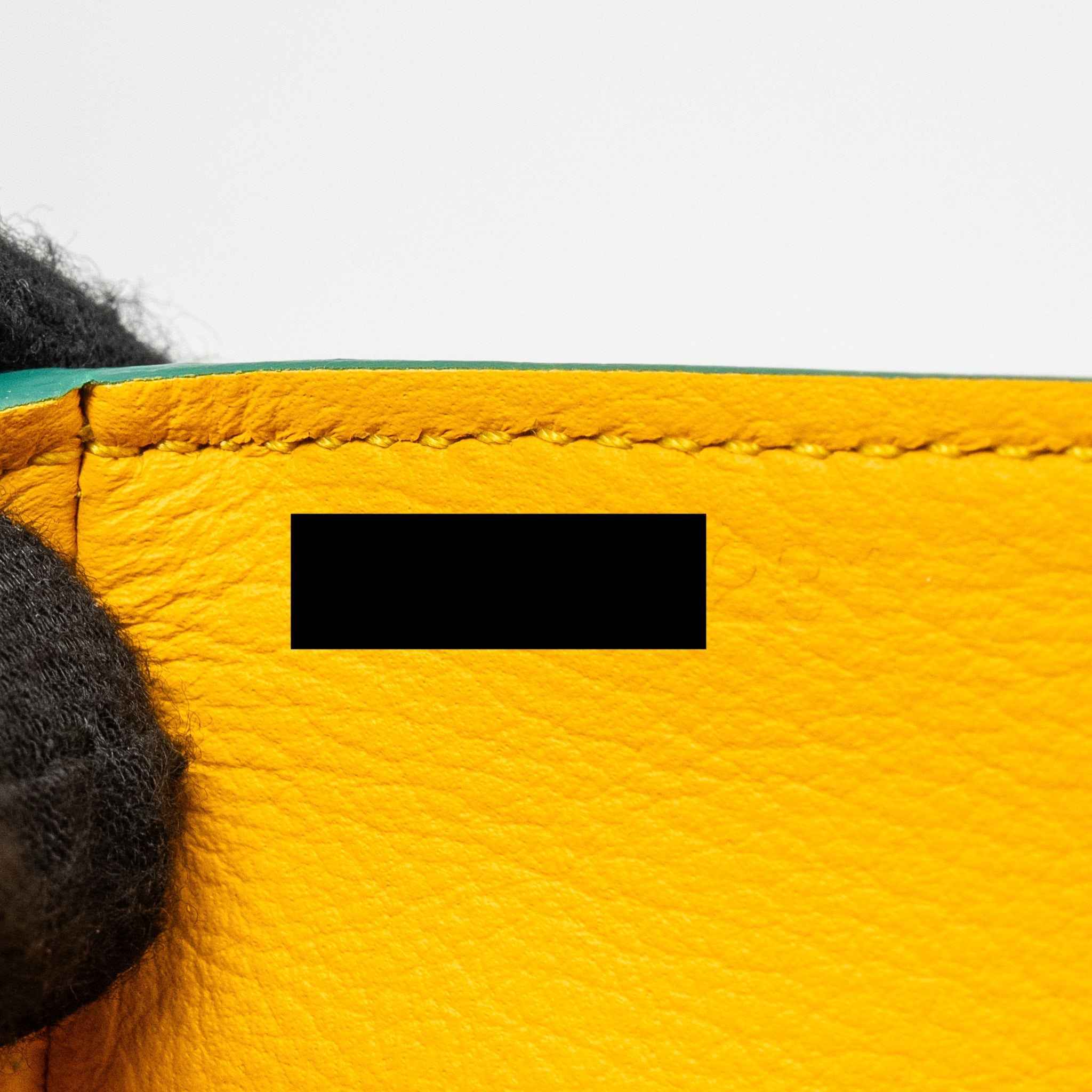 GOYARD MINI SAIGON BAG GOYARDLINE CANVAS/CALFSKIN GREEN SHW