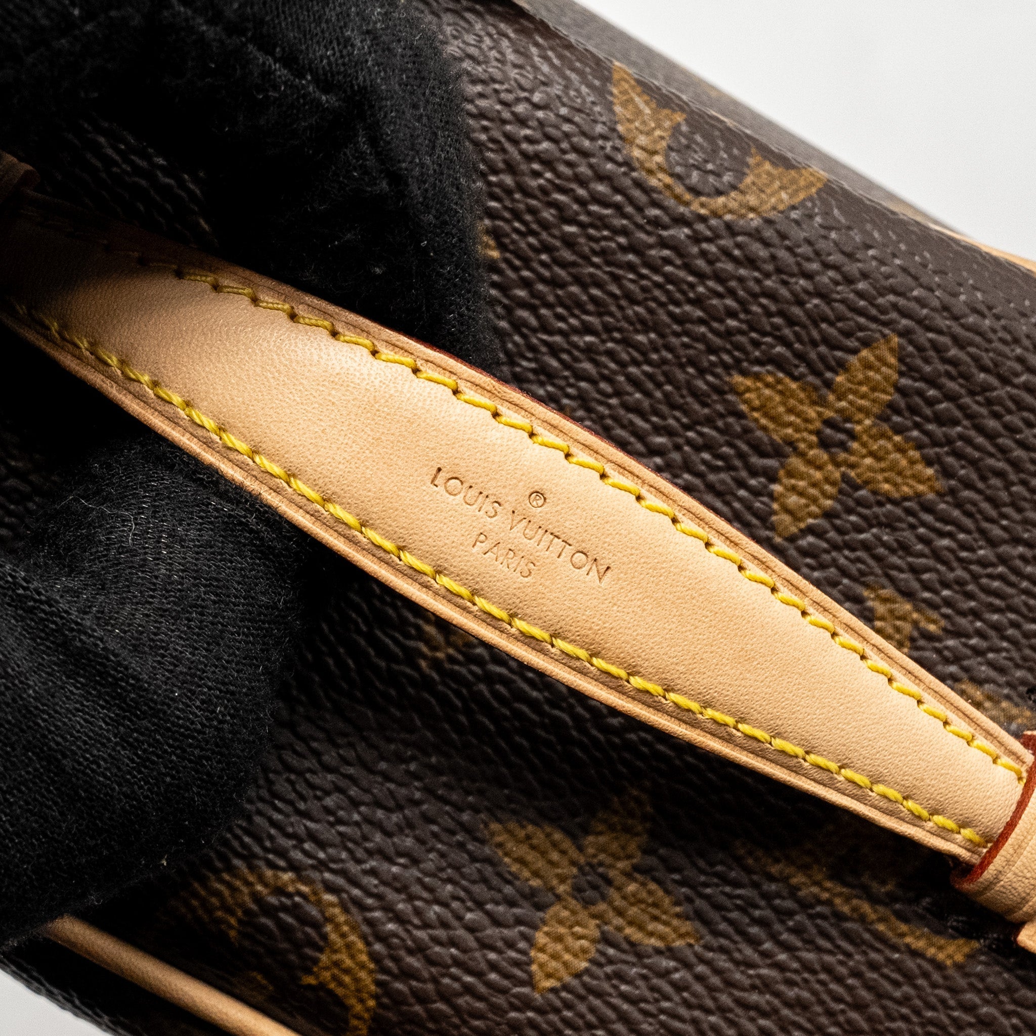 LOUIS VUITTON NICE NANO MONOGRAM CANVAS GHW