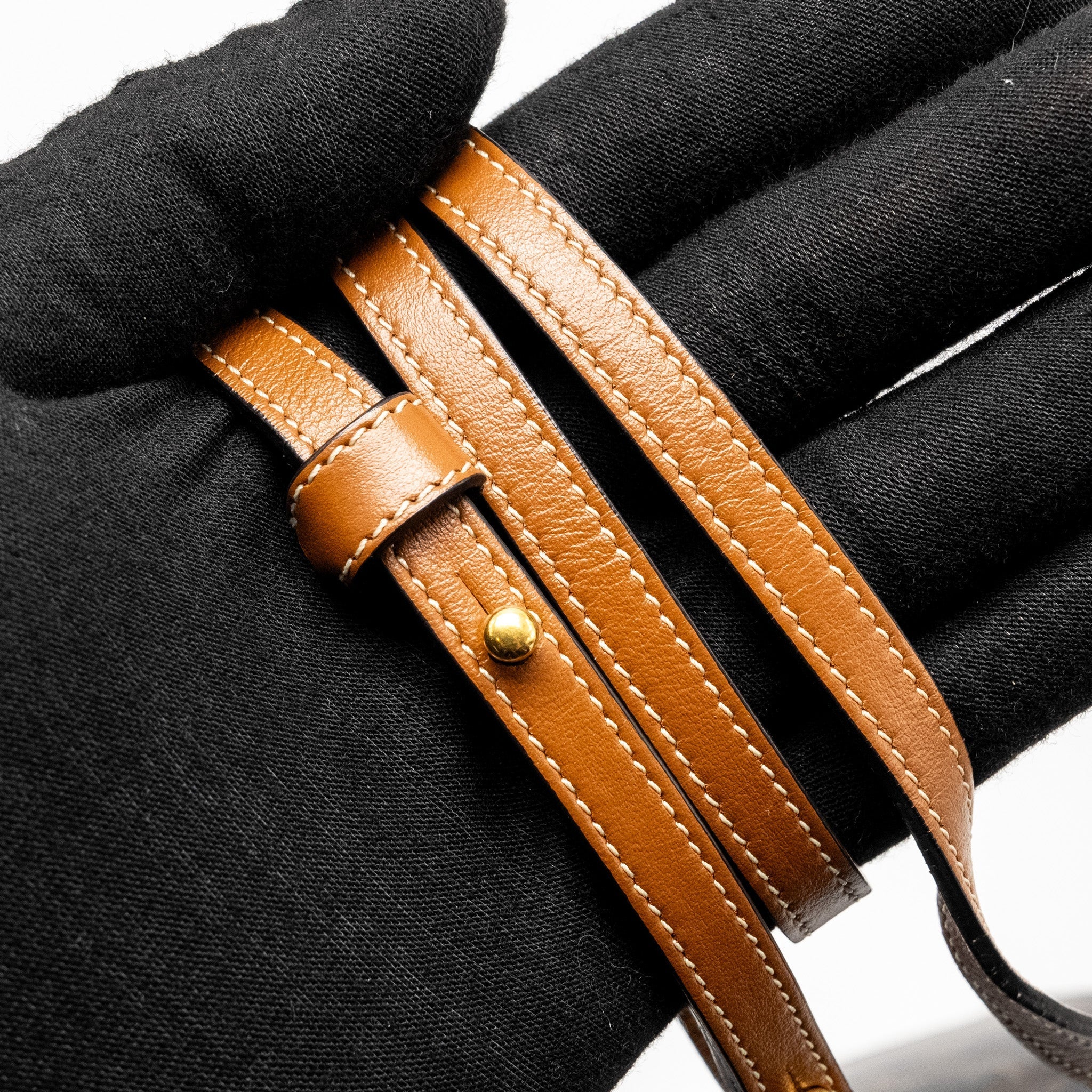 CELINE WALLET ON STRAP TRIOMPHE CANVAS /SMOOTH LAMBSKIN TAN GHW