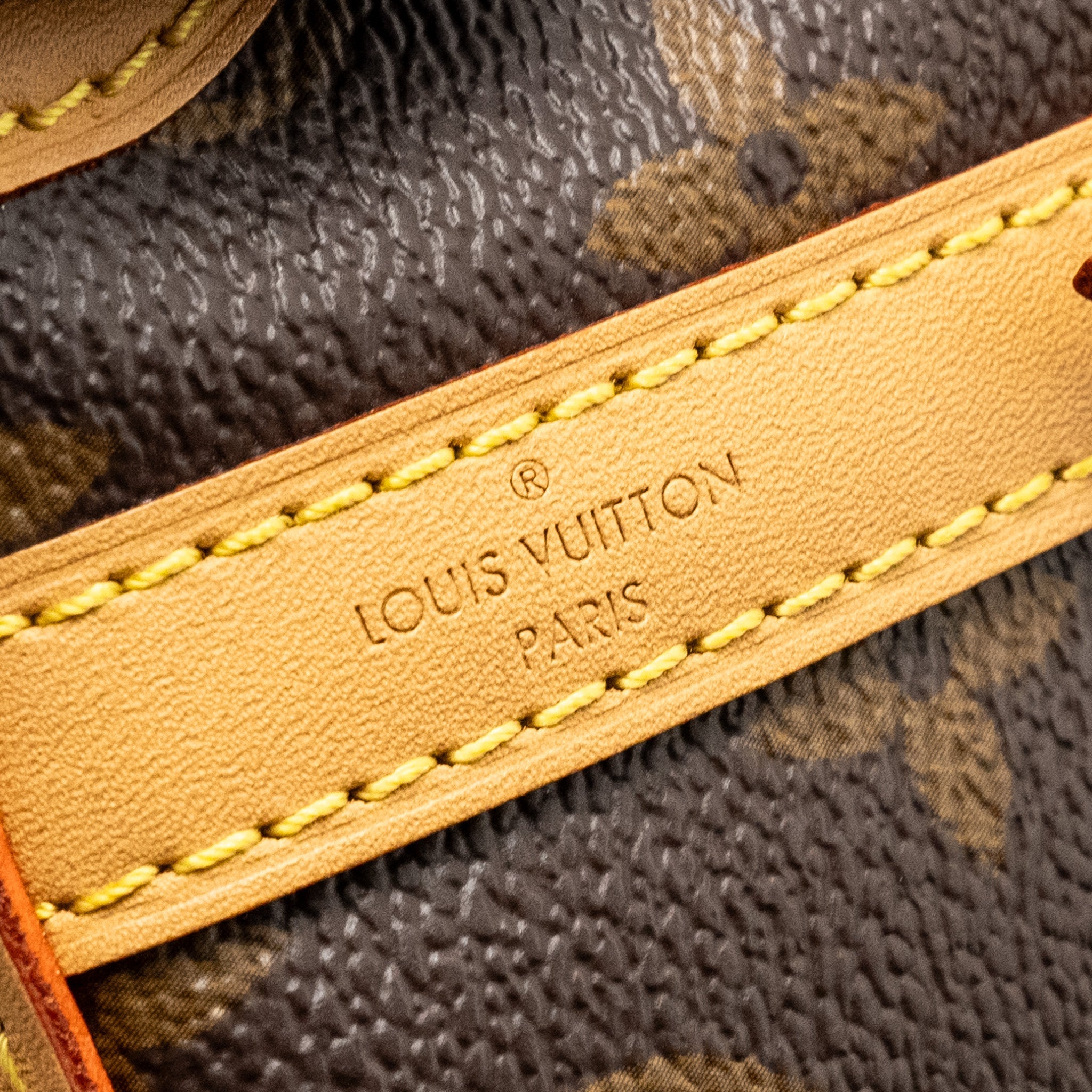 LOUIS VUITTON NOE PURSE MONOGRAM CANVAS GHW