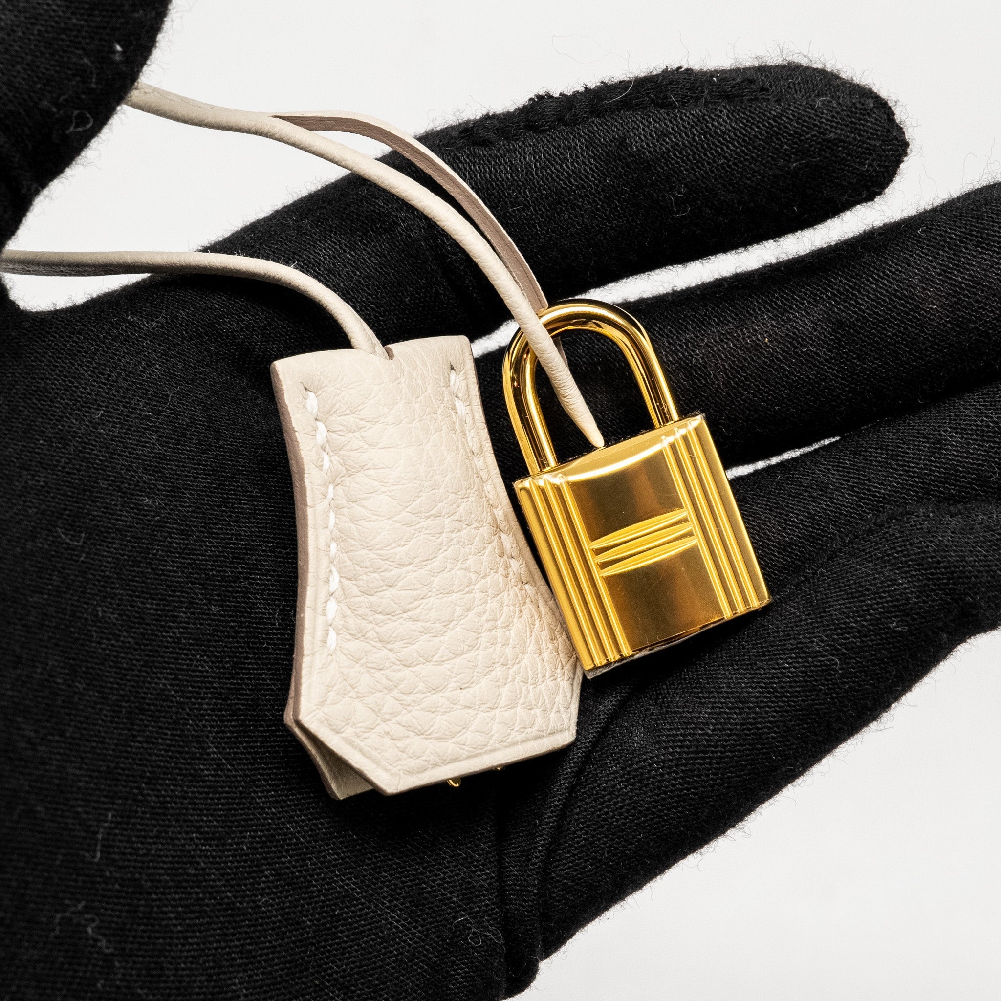 HERMES BIRKIN 25 TOGO CRAIE GHW