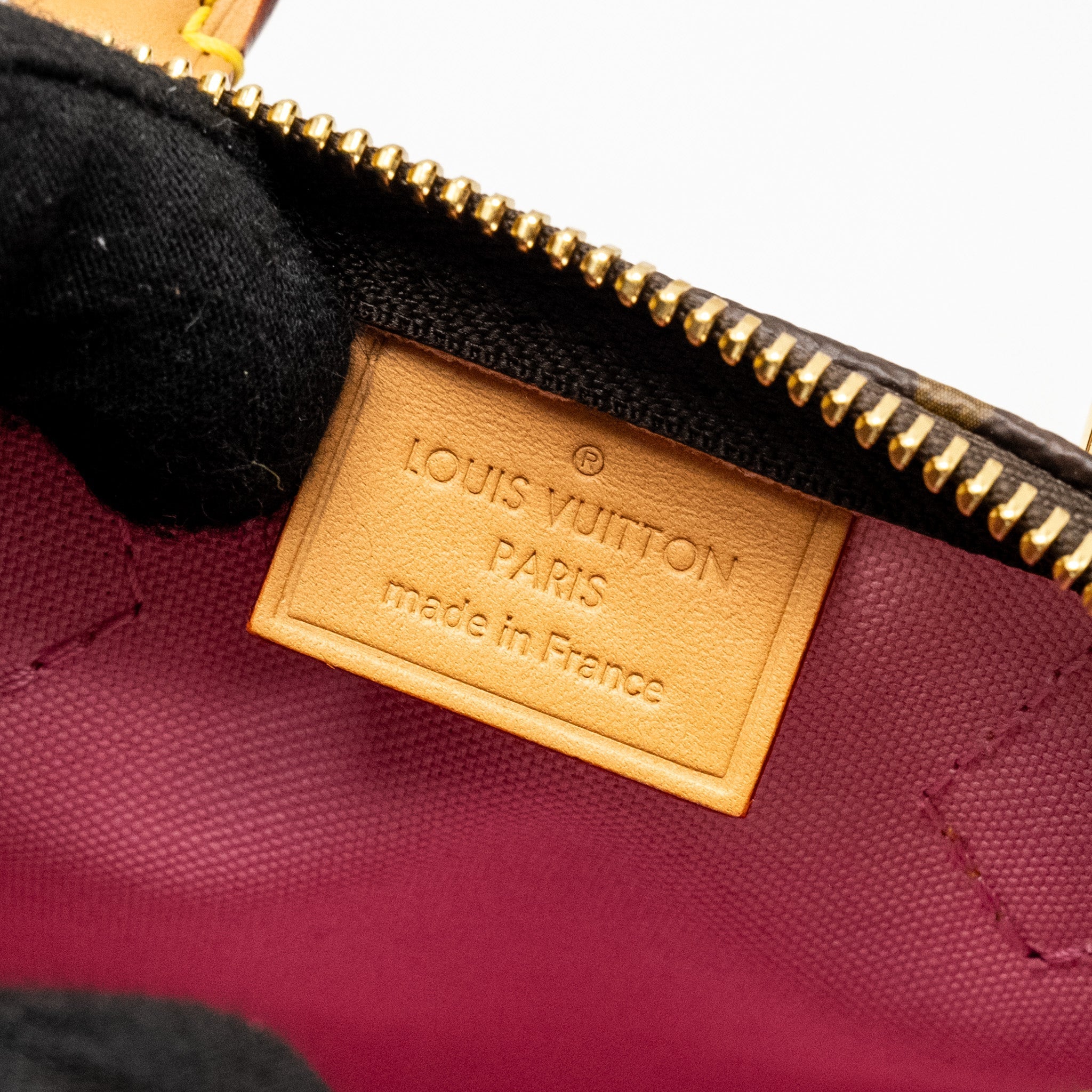 LOUIS VUITTON NANO SPEEDY VIVIENNE LIMITED EDITION MONOGRAM CANVAS GHW