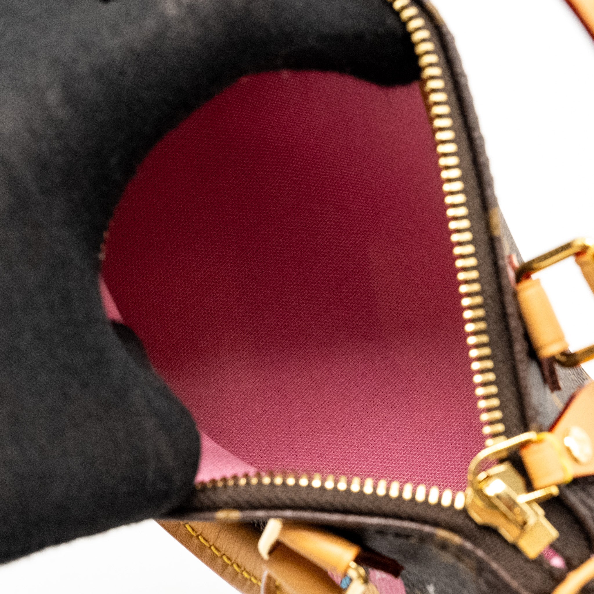 LOUIS VUITTON NANO SPEEDY VIVIENNE LIMITED EDITION MONOGRAM CANVAS GHW
